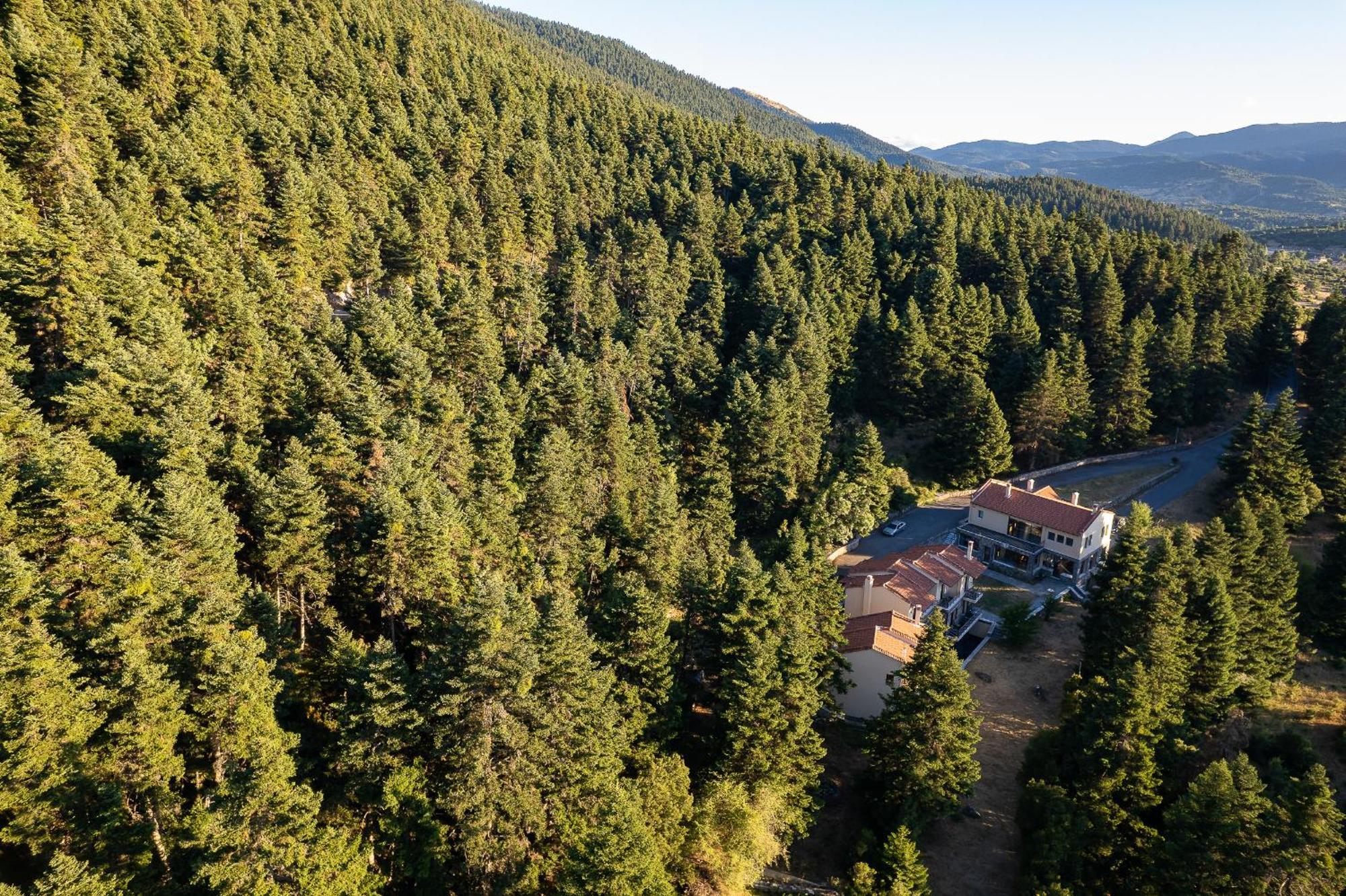 Natura Hotel Vitina Bagian luar foto