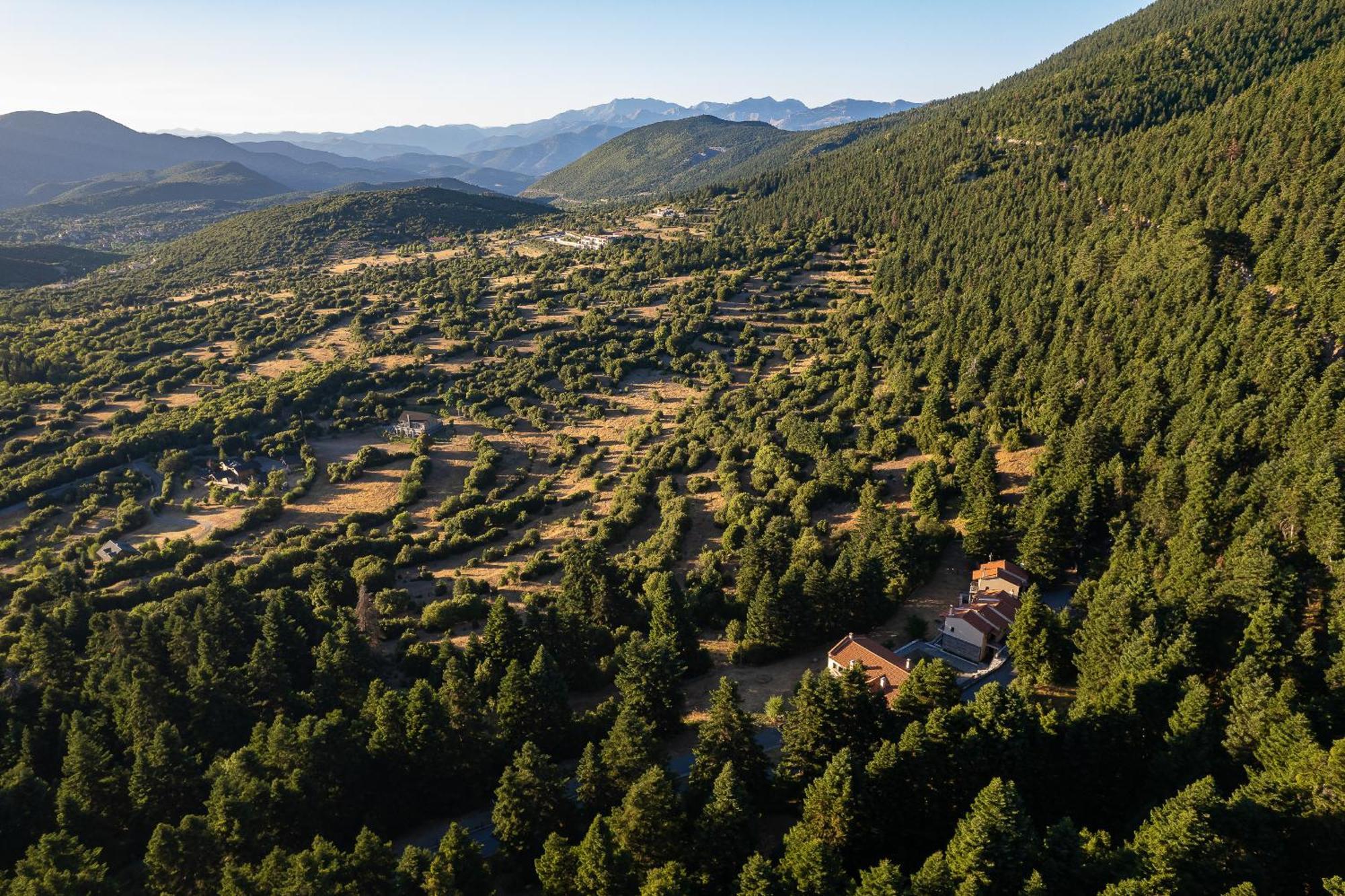 Natura Hotel Vitina Bagian luar foto