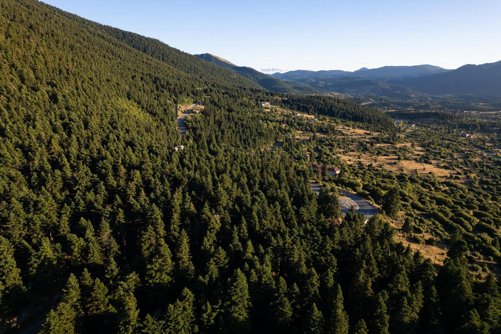 Natura Hotel Vitina Bagian luar foto